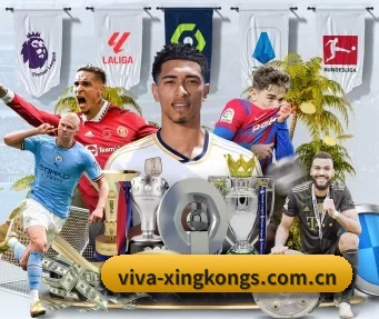 viva-xingkongs.com.cn APP